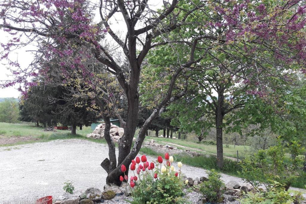 Gite Le Pilat Vernoux-en-Vivarais ภายนอก รูปภาพ